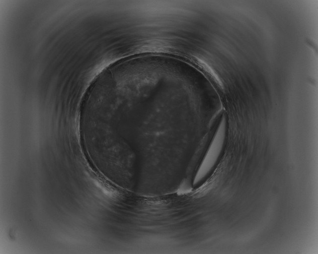 X0000093371035200710191112