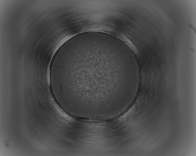 X0000093371036200710191112