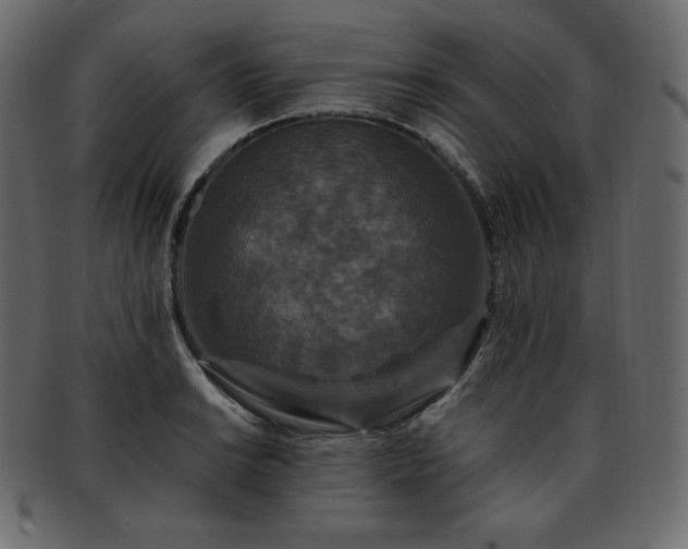 X0000093371038200710191112