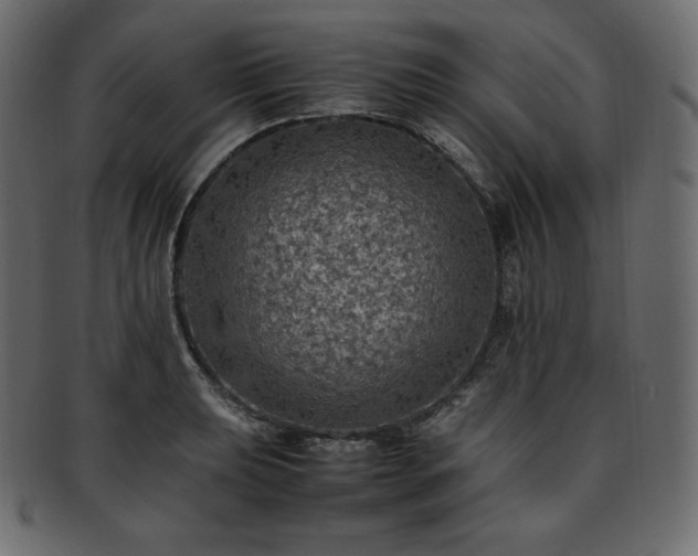 X0000093371039200710191112