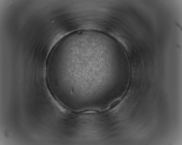 X0000093371040200710191112