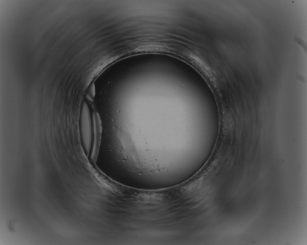 X0000093371041200710191112