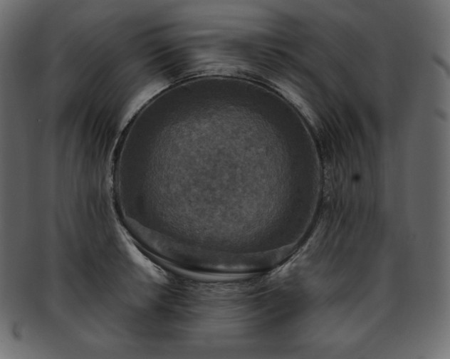 X0000093371042200710191112