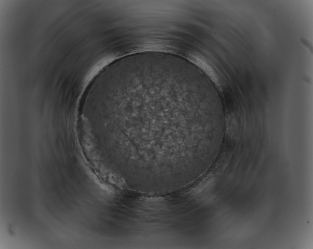 X0000093371043200710191112