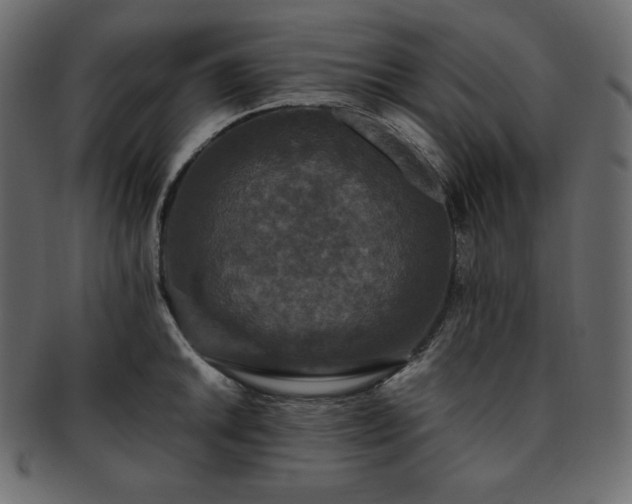 X0000093371046200710191112