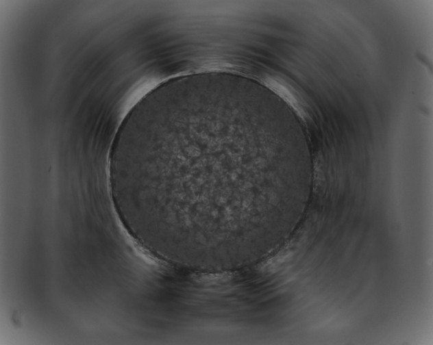 X0000093371047200710191112