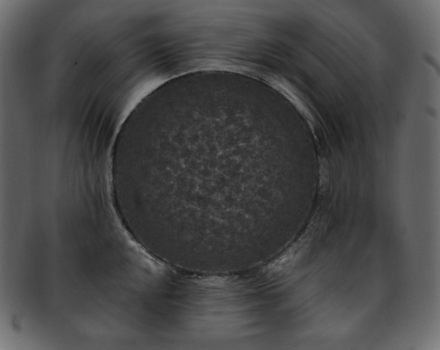 X0000093371048200710191112