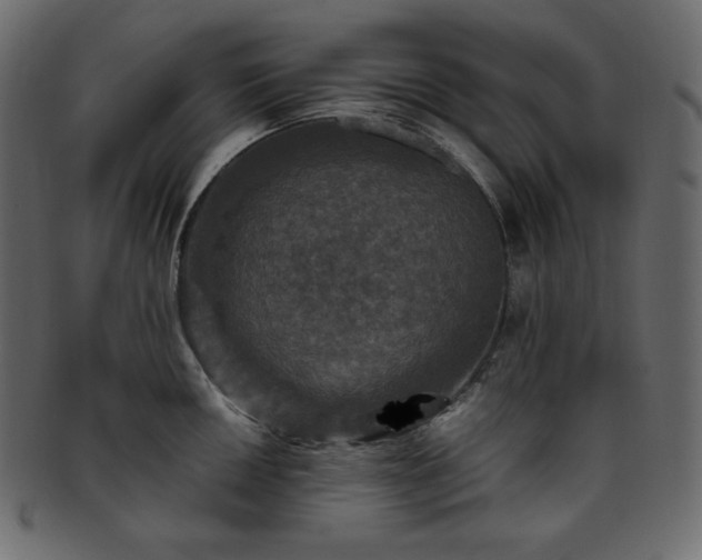 X0000093371050200710191112