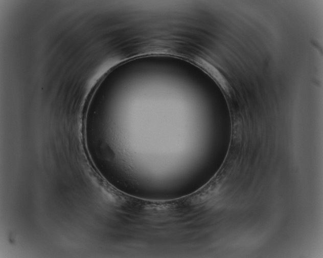 X0000093371051200710191112