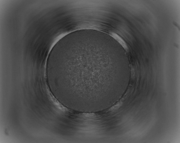 X0000093371052200710191112