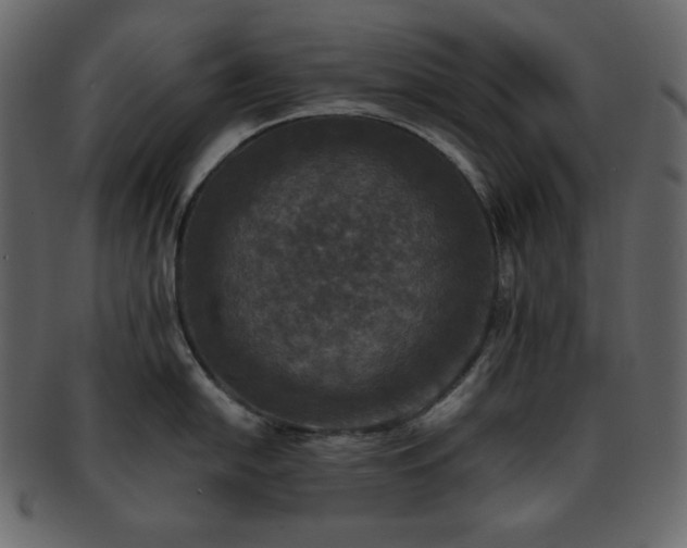 X0000093371054200710191112