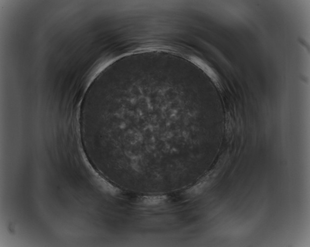 X0000093371055200710191112