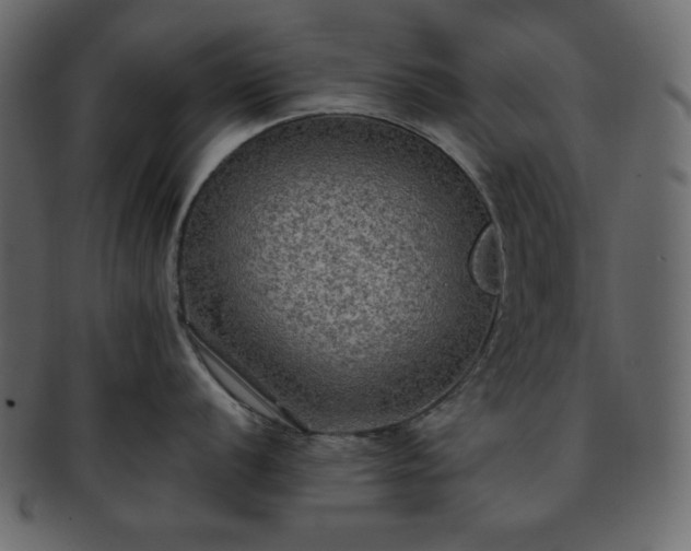 X0000093371056200710191112