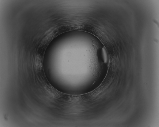 X0000093371058200710191112