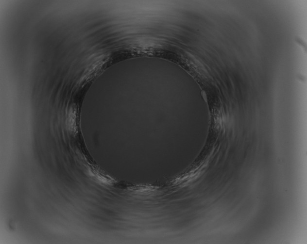 X0000093371060200710191112