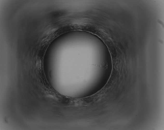 X0000093371061200710191112