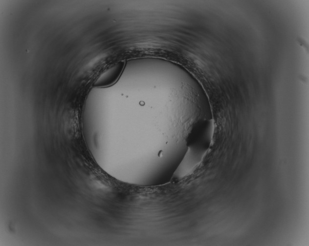 X0000093371062200710191112