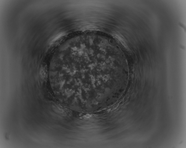 X0000093371063200710191112