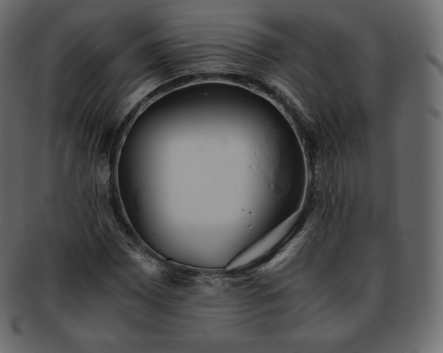 X0000093371065200710191112