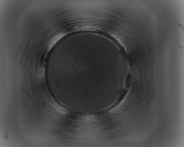 X0000093371066200710191112