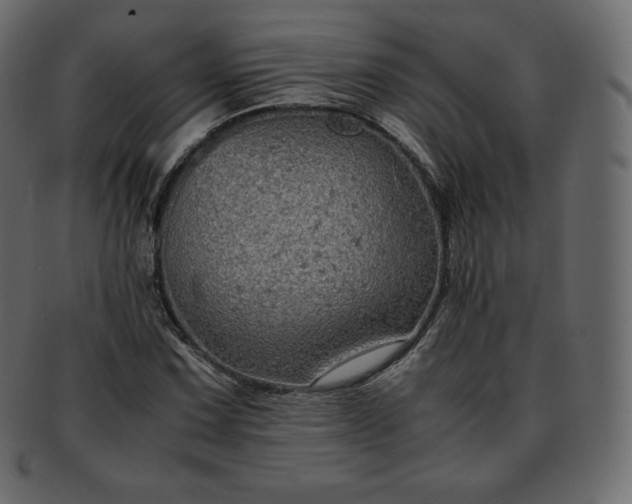 X0000093371067200710191112