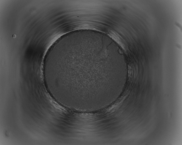 X0000093371068200710191112