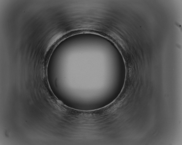 X0000093371069200710191112