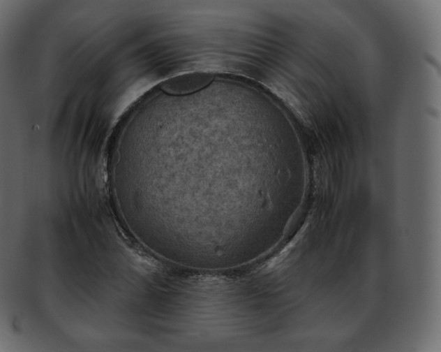 X0000093371070200710191112