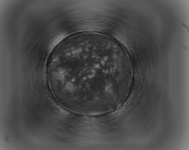 X0000093371071200710191112