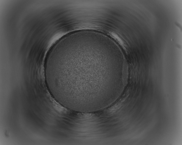 X0000093371072200710191112