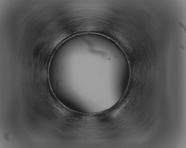 X0000093371073200710191112