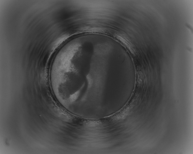 X0000093371074200710191112