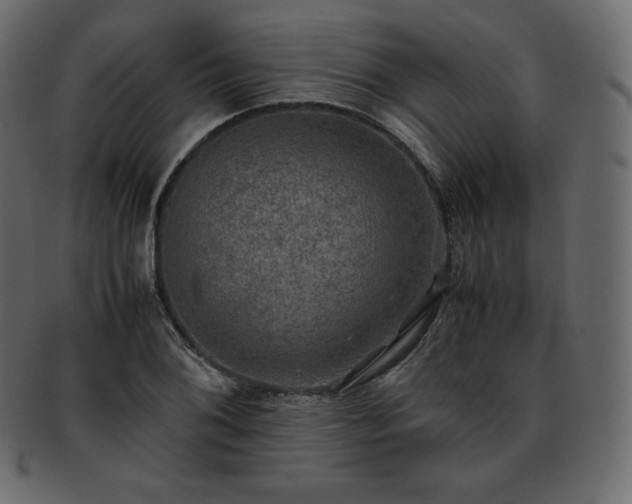 X0000093371076200710191111