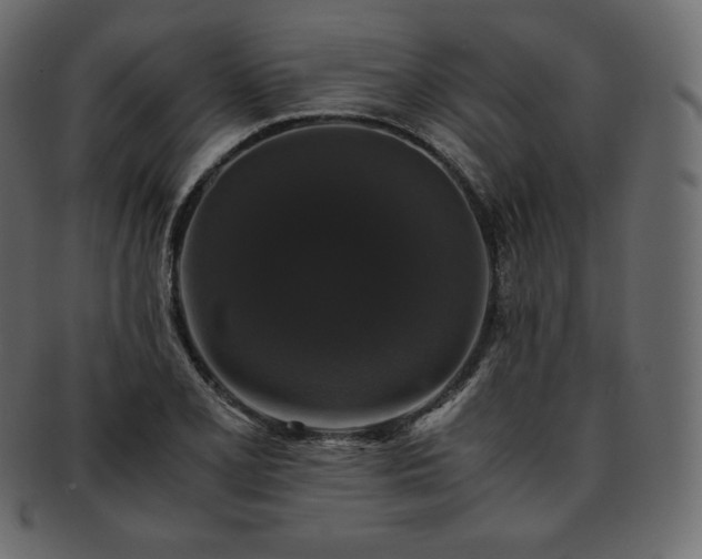 X0000093371077200710191111