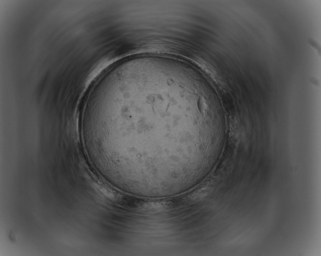 X0000093371078200710191111