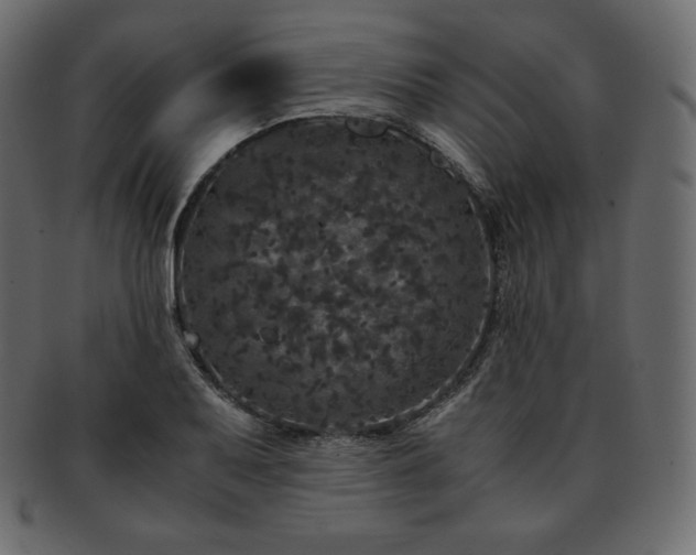 X0000093371079200710191111