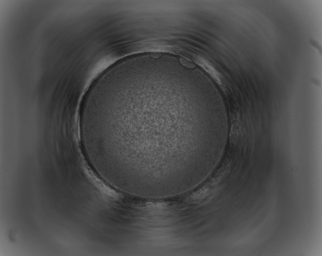 X0000093371080200710191111