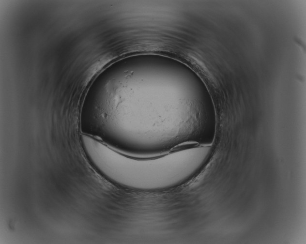 X0000093371081200710191111