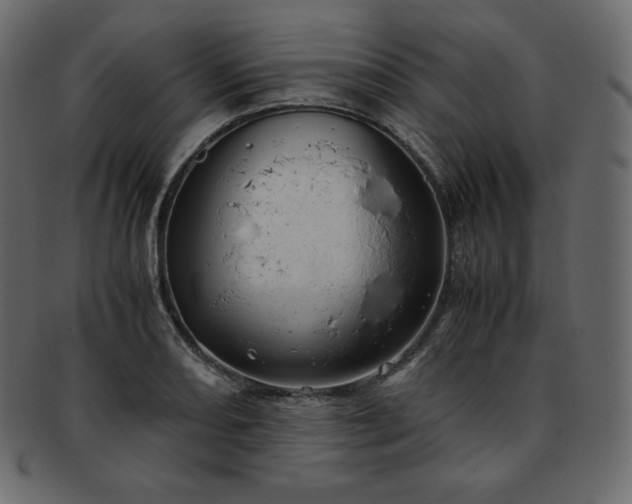 X0000093371082200710191111