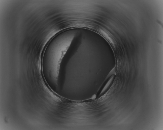 X0000093371084200710191111