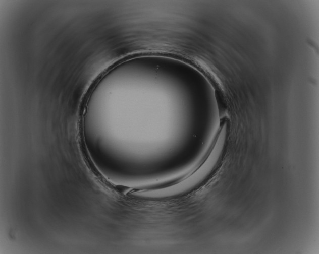 X0000093371085200710191111