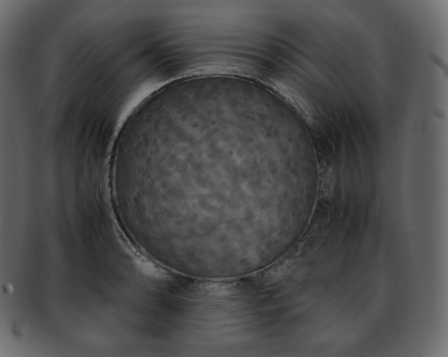 X0000093371086200710191111