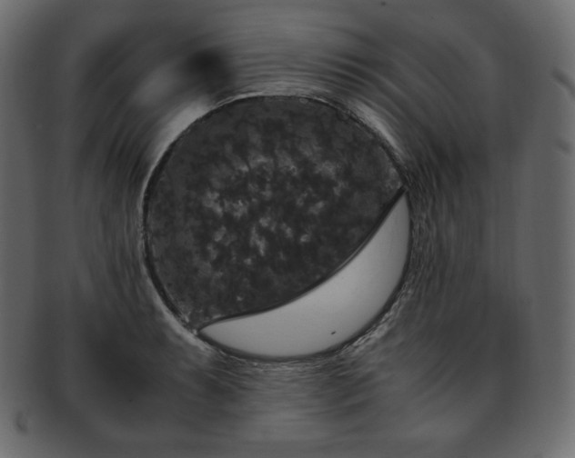 X0000093371087200710191111