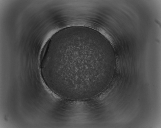 X0000093371088200710191111