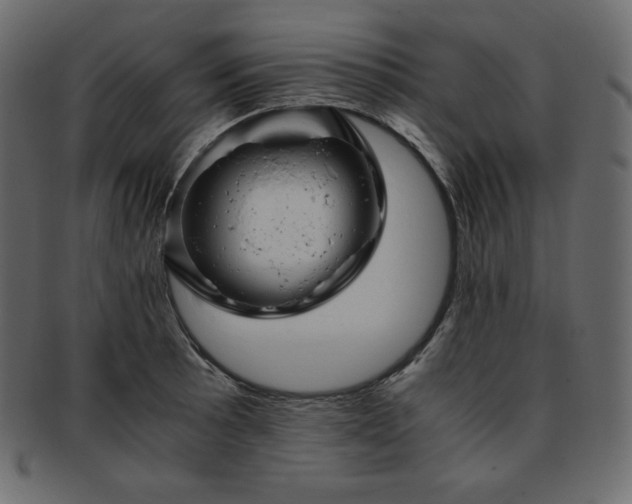 X0000093371089200710191111