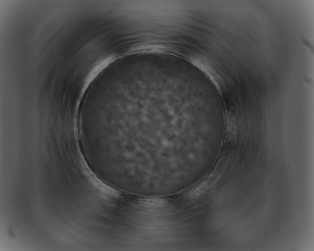 X0000093371090200710191111