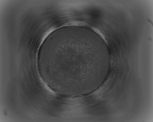 X0000093371091200710191111