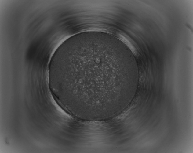 X0000093371092200710191111