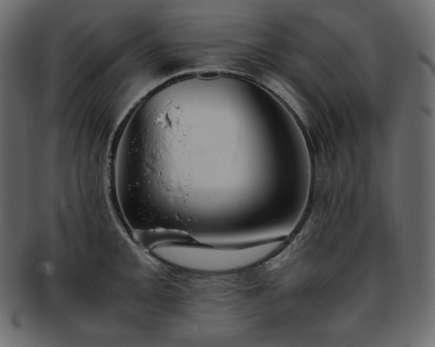 X0000093371093200710191111