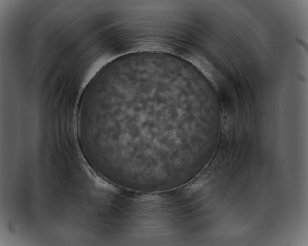 X0000093371094200710191111